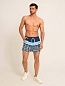 Мужские шорты для плавания «Summer» Синие / Emotion day